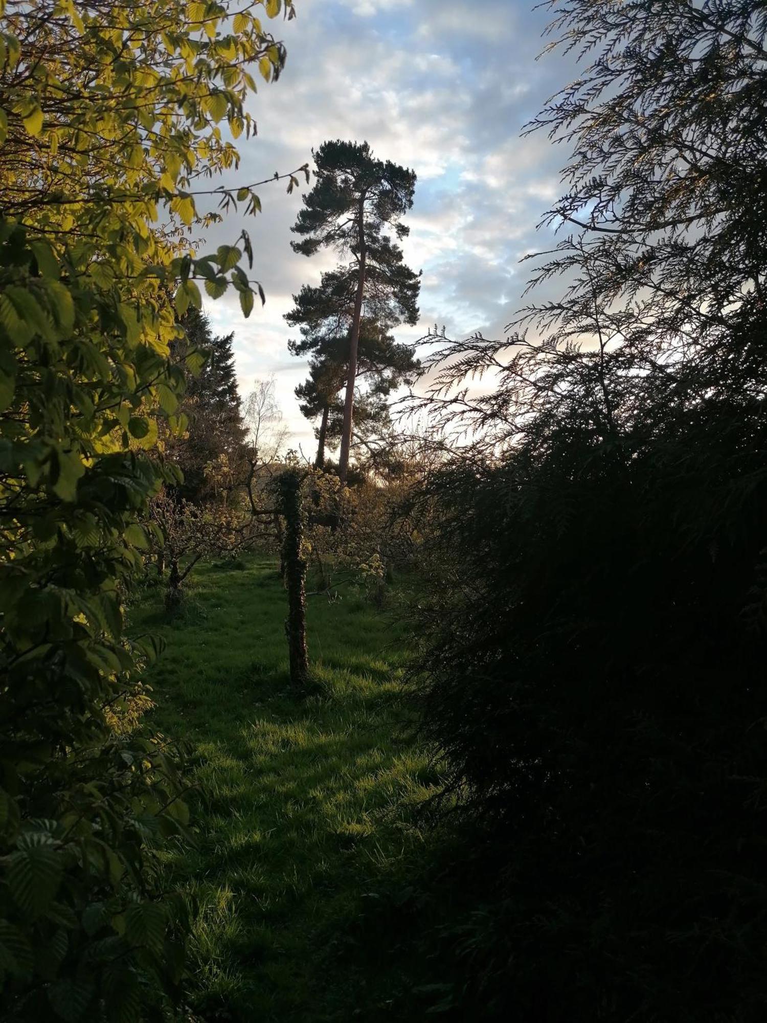 Hotel Stargazer Glamping Uk The Mahal 8 People Ross-on-Wye Zewnętrze zdjęcie